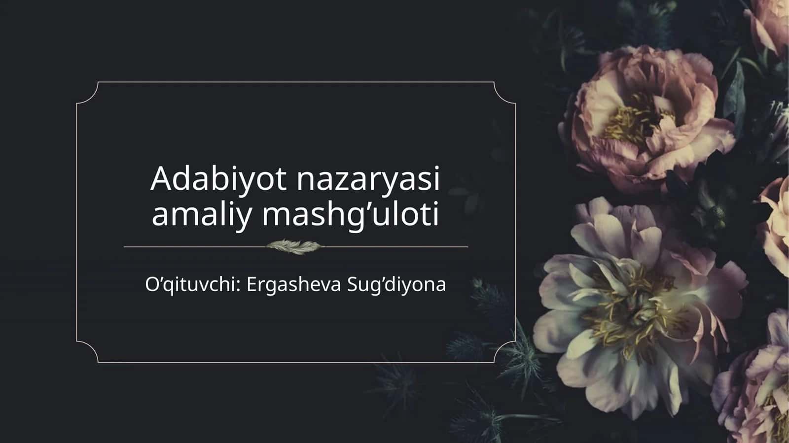 Adabiyot nazariyasi amaliy mashg'uloti