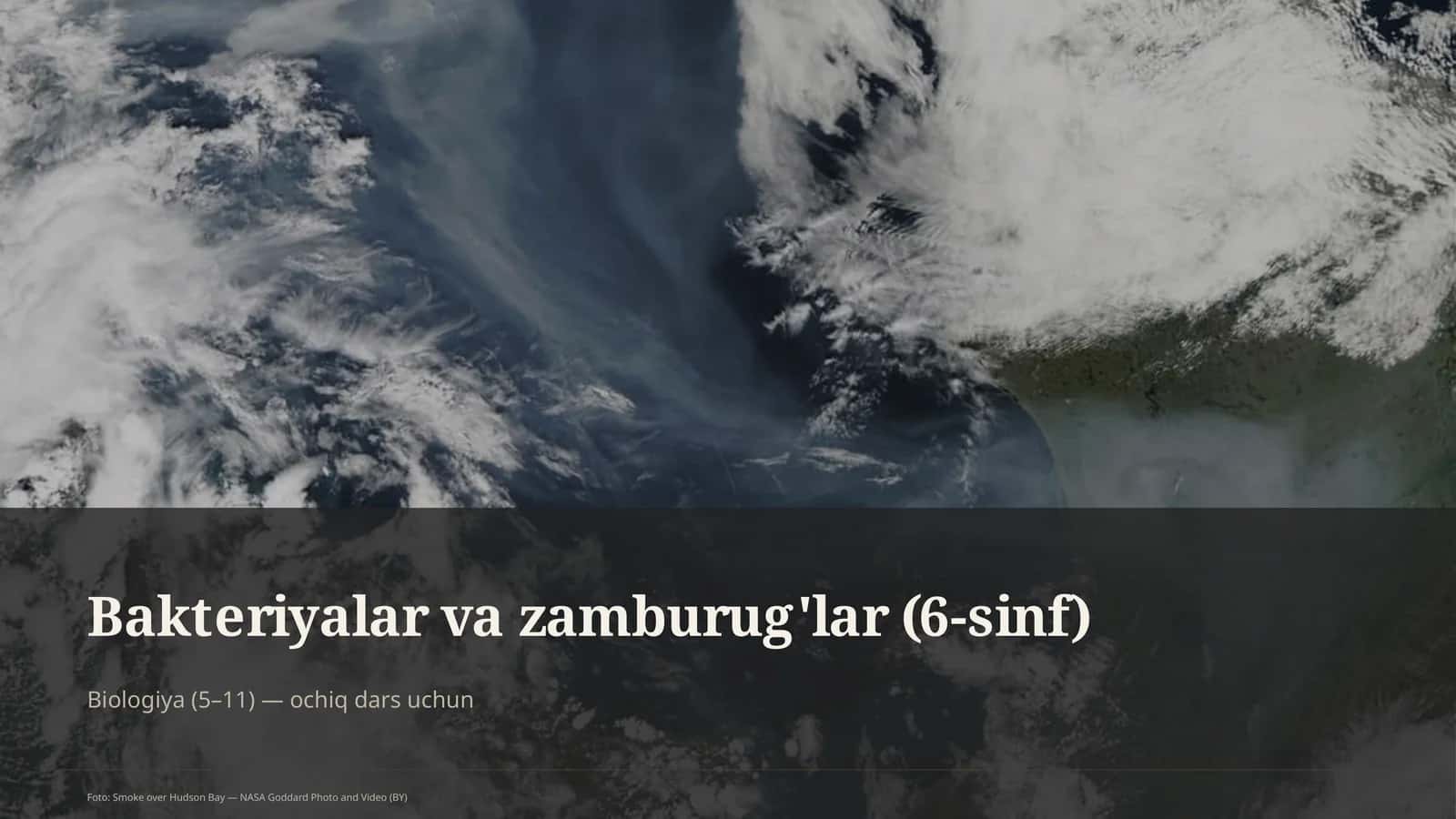 Bakteriyalar va zamburug'lar (6-sinf)
