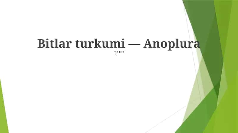 Bitlar turkumi — Anoplura