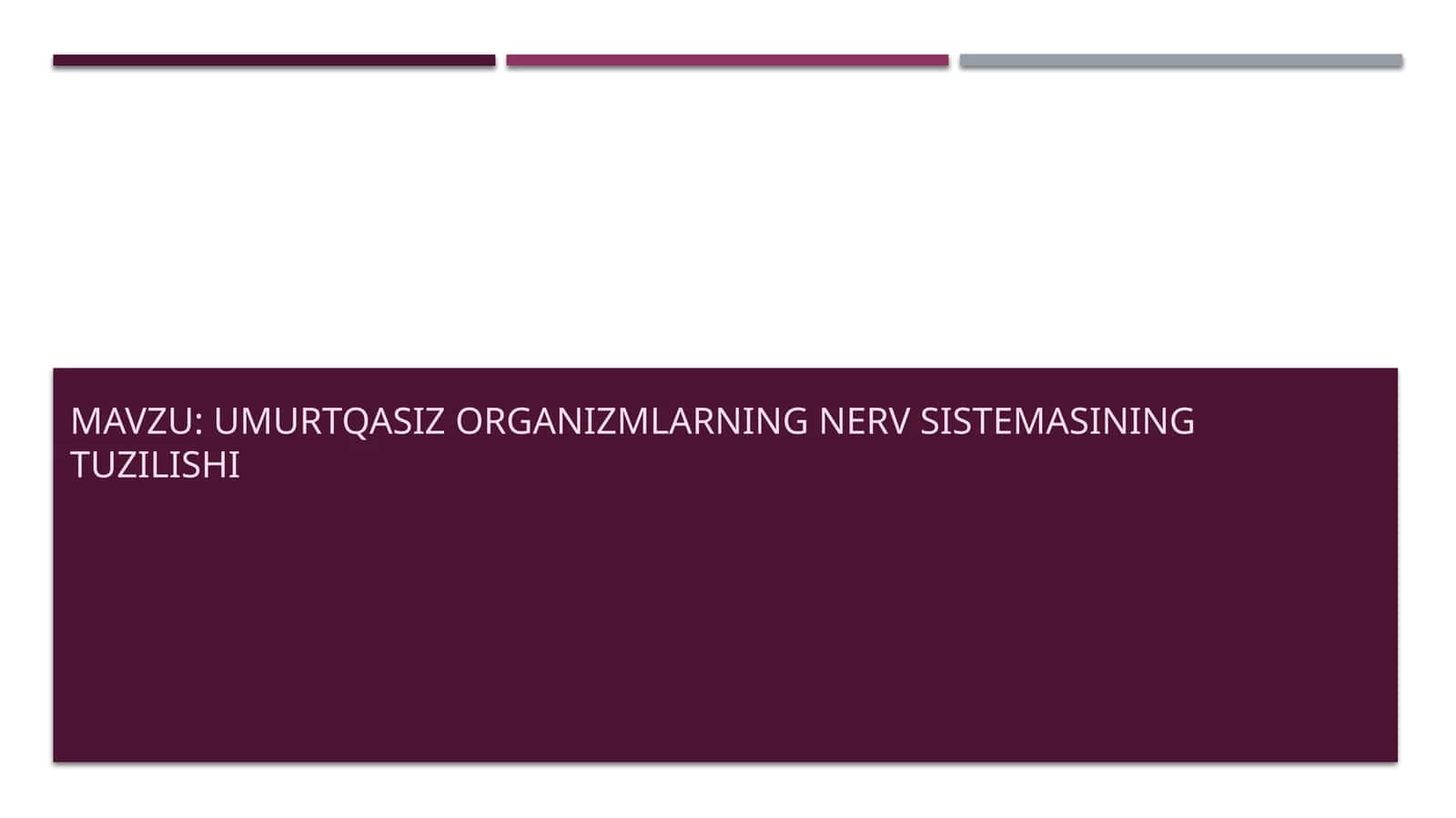 Umurtqasiz organizmning nerv sistemasining tuzilishi