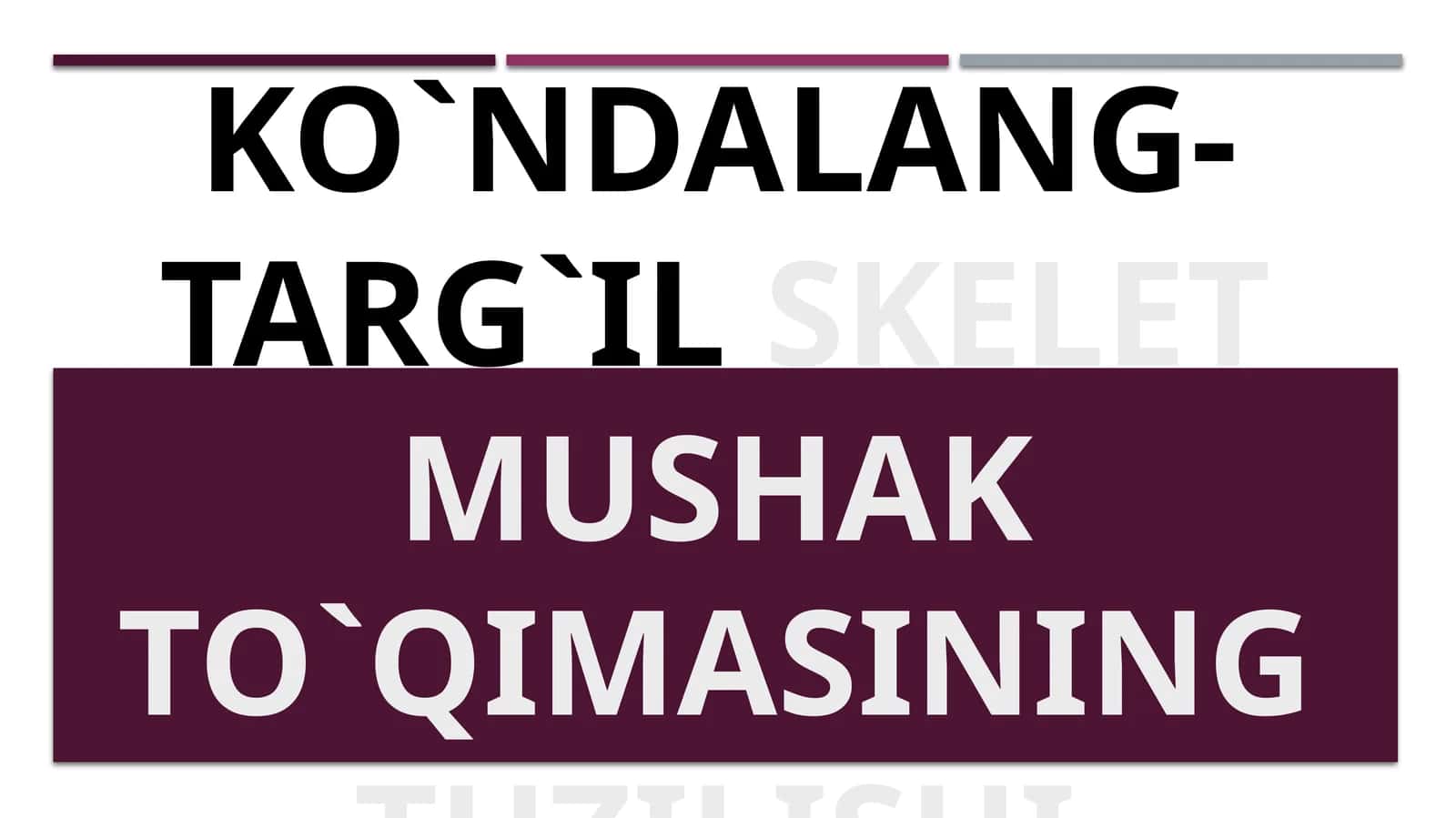Ko`ndalang-targ`ilskelet mushak to`qimasining tuzilishi