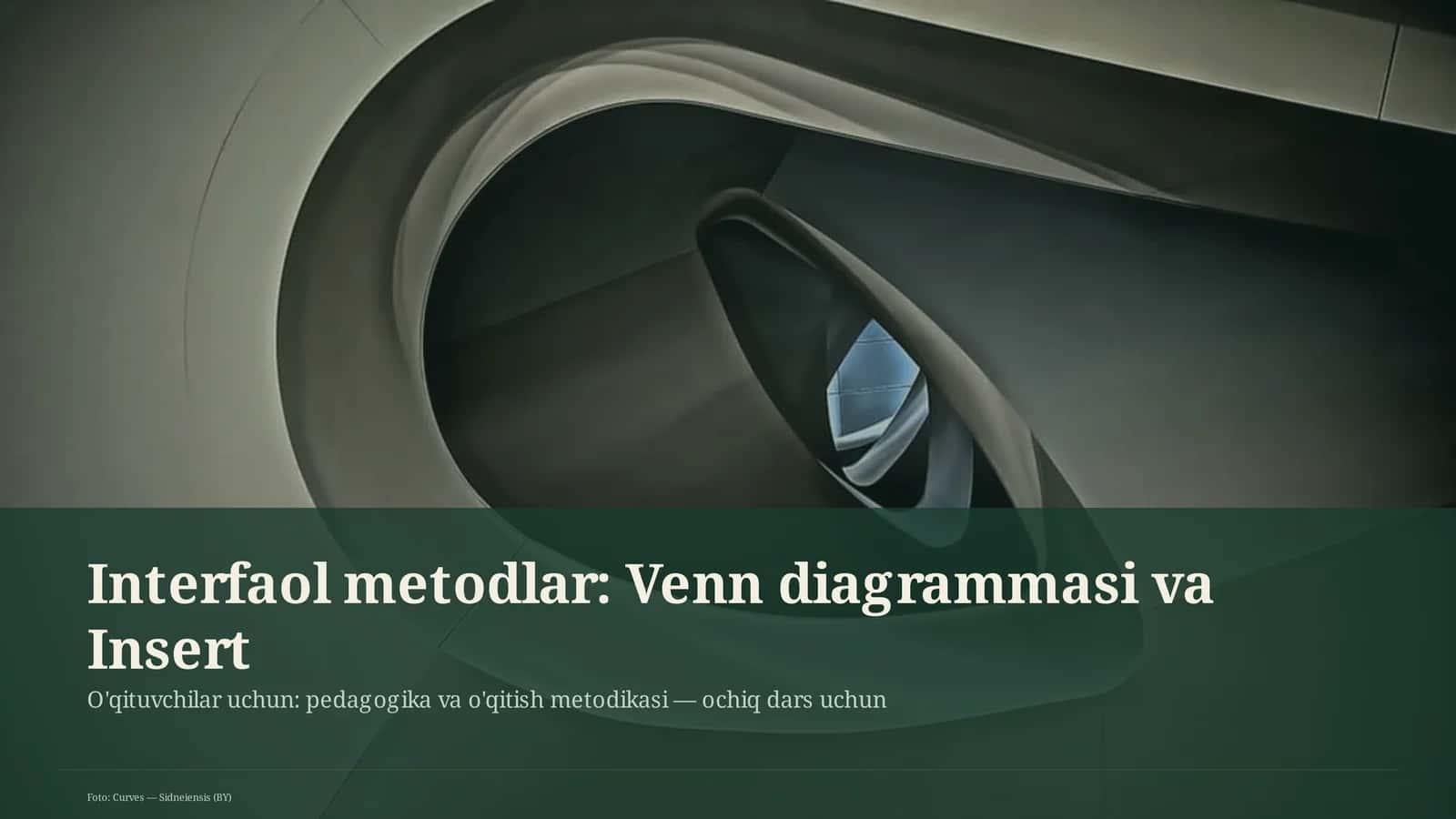 Interfaol metodlar: Venn diagrammasi va Insert