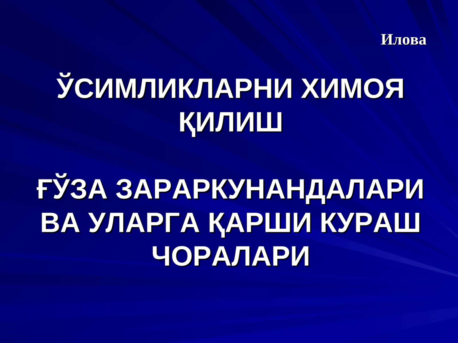 КУЗГИ ТУНЛАМ (AGROTIS SEGETUM SCHIFF)