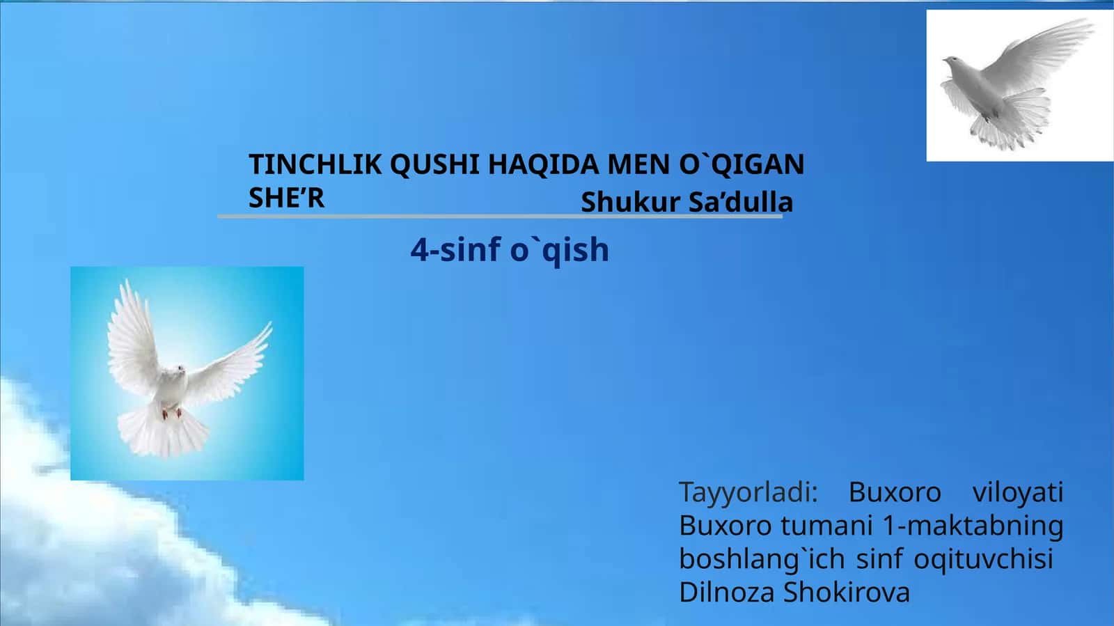 TINCHLIK QUSHI HAQIDA MEN O`QIGAN SHE’R