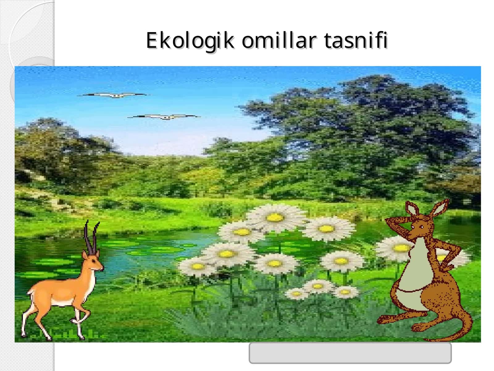 Ekologik omillar tasnifi