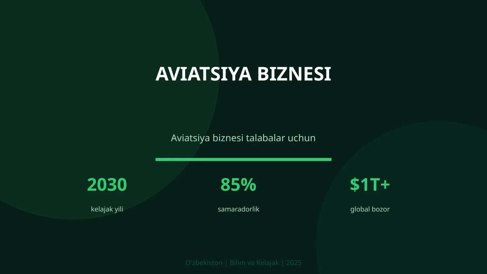 AVIATSIYA BIZNESI