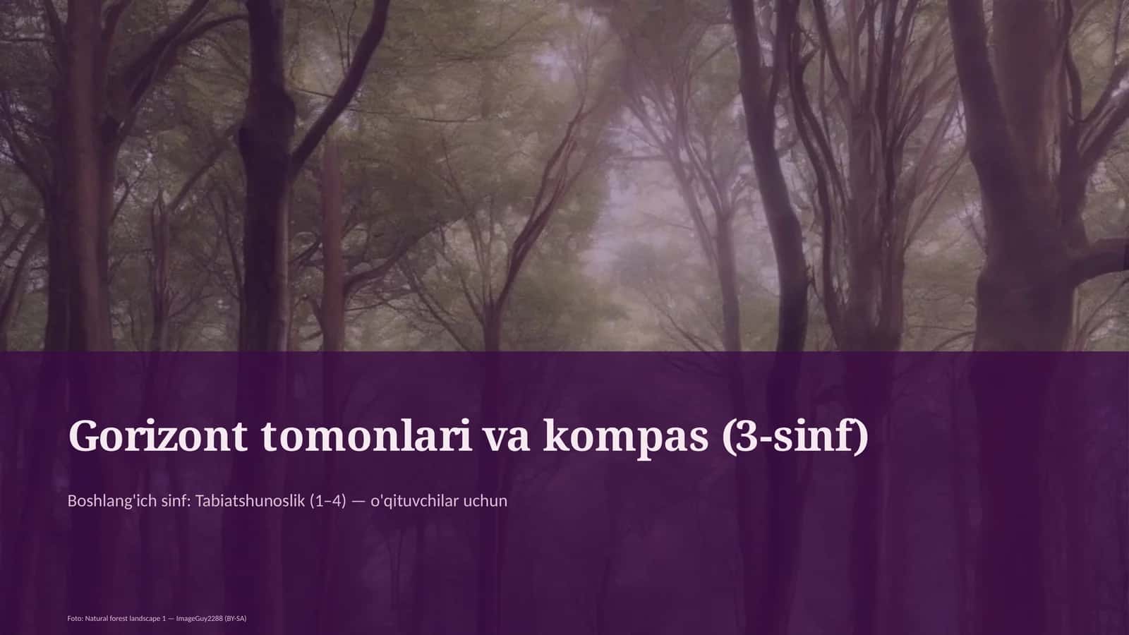 Gorizont tomonlari va kompas (3-sinf)
