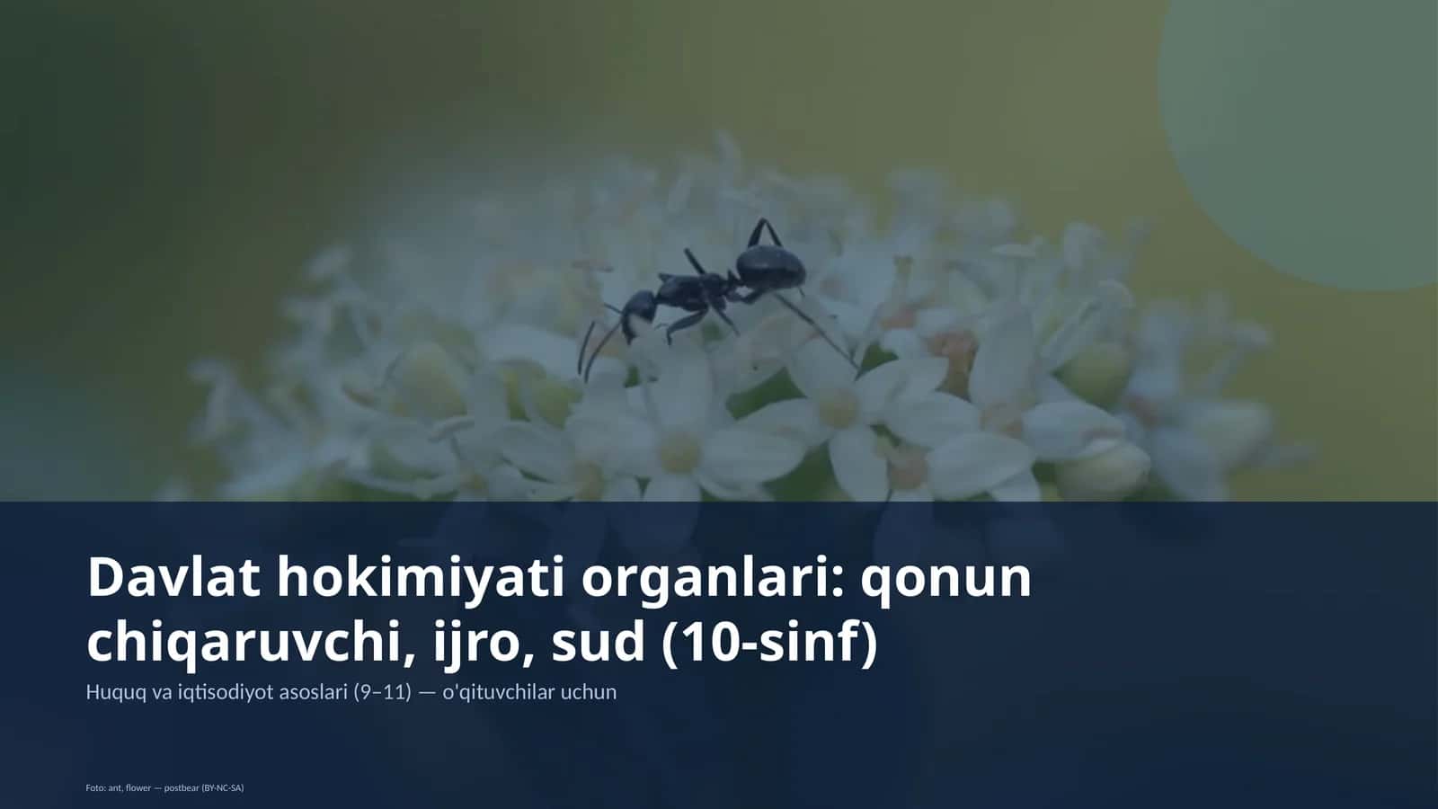 Huquq va iqtisodiyot asoslari (9–11)