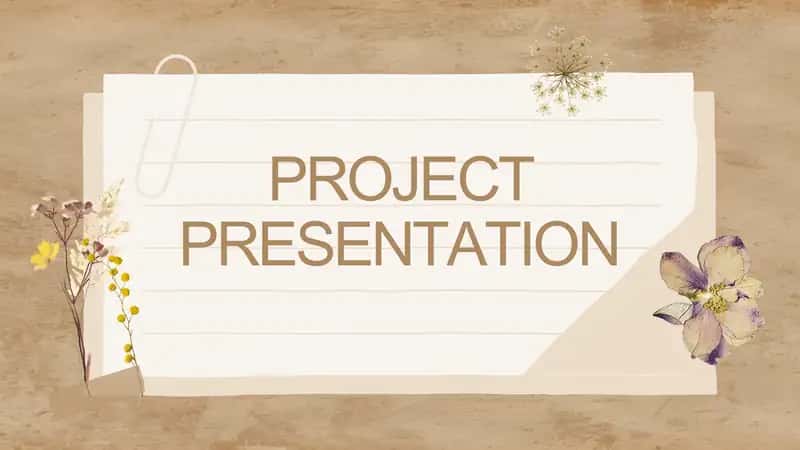 PROJECT PRESENTATION