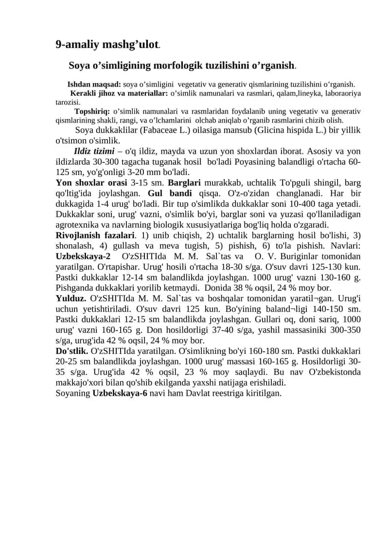 Soya O'simligi Morfologiyasi