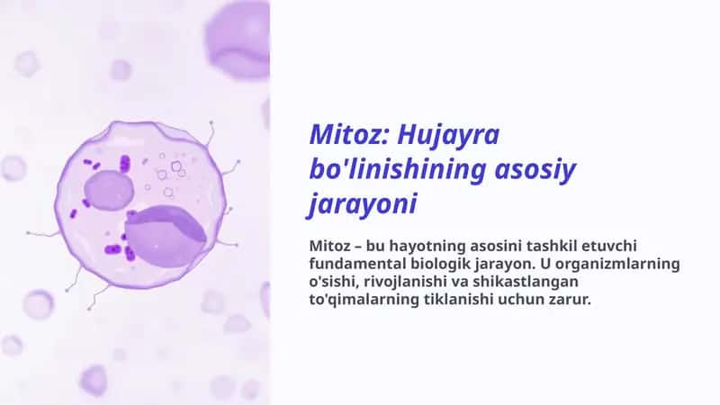 Mitoz