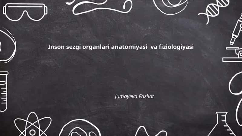 Inson sezgi organlari anatomiyasi va fiziologiyasi