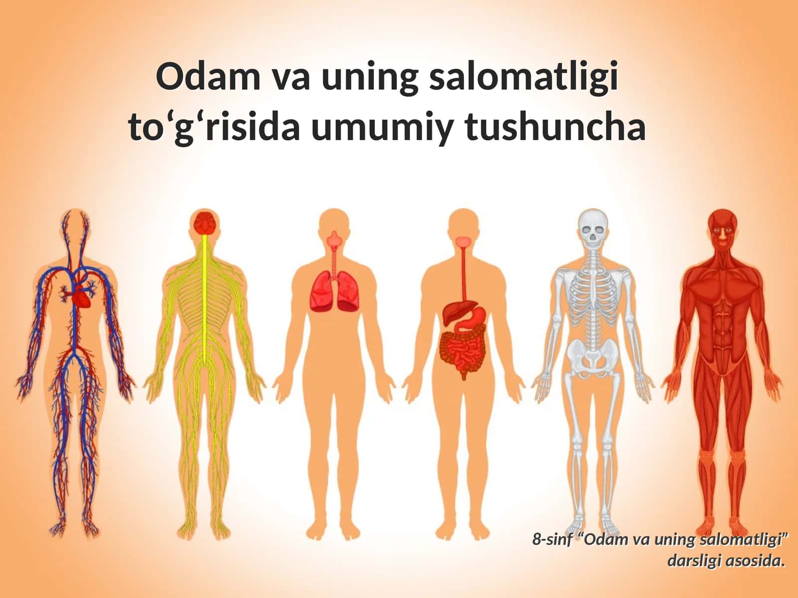 Odam va uning salomatligi to‘g‘risida umumiy tushuncha