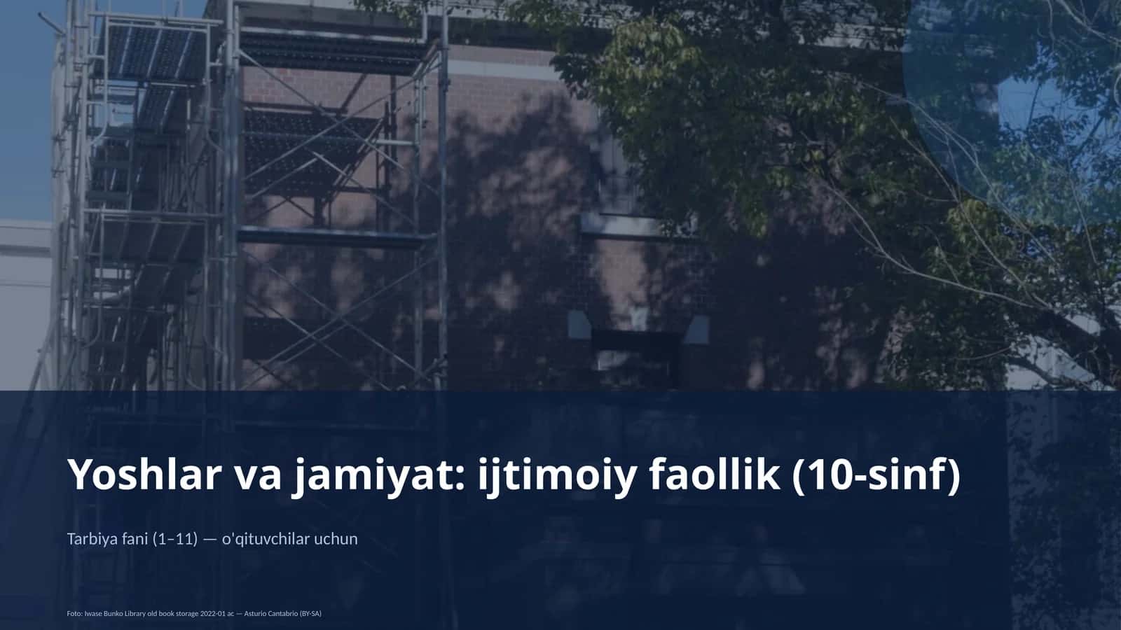 Yoshlar va jamiyat: ijtimoiy faollik (10-sinf)