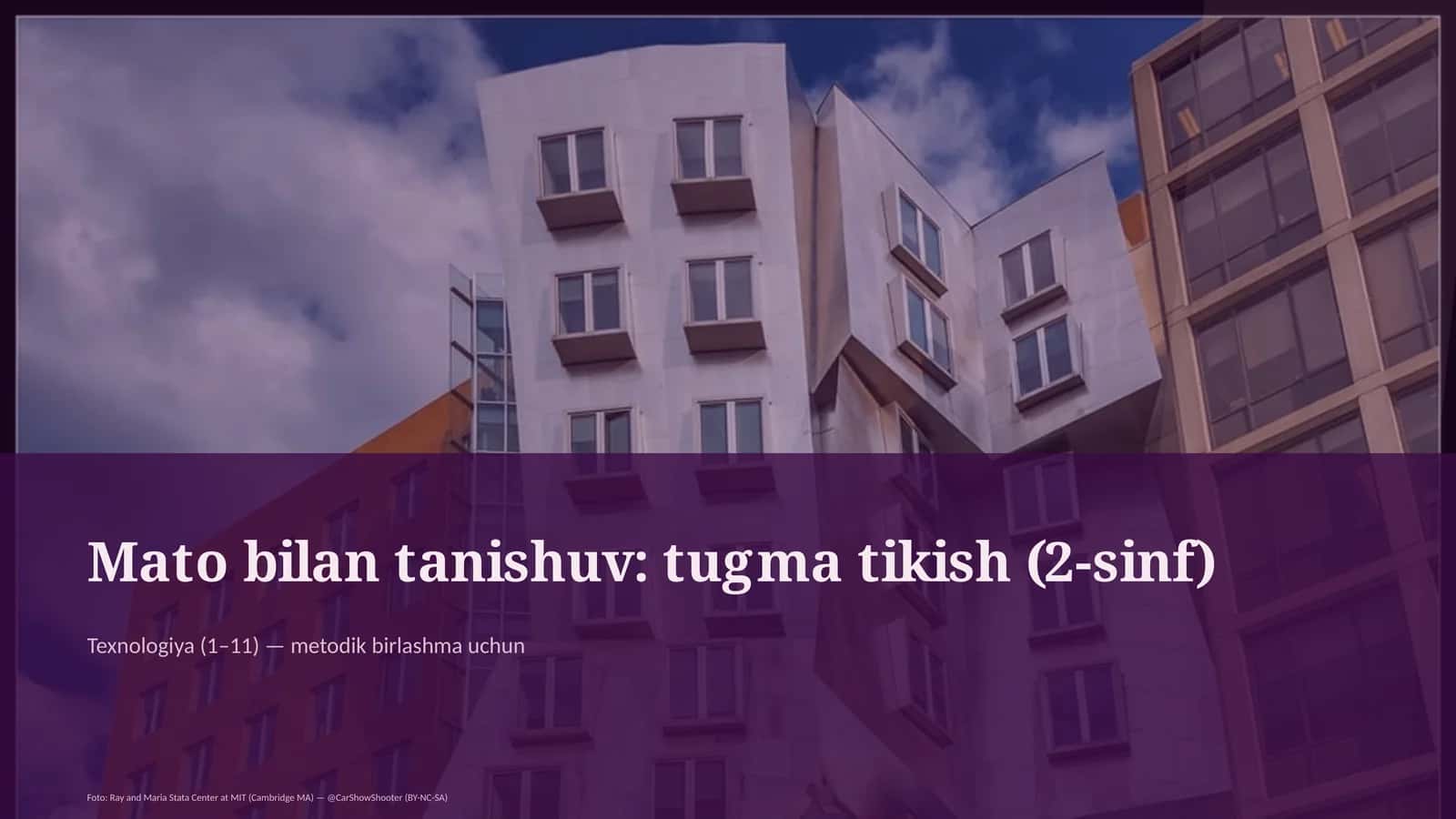 Mato bilan tanishuv: tugma tikish (2-sinf)