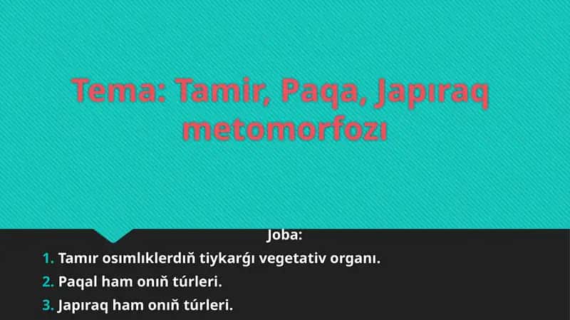 Tamir, Paqa, Japıraq metomorfozı
