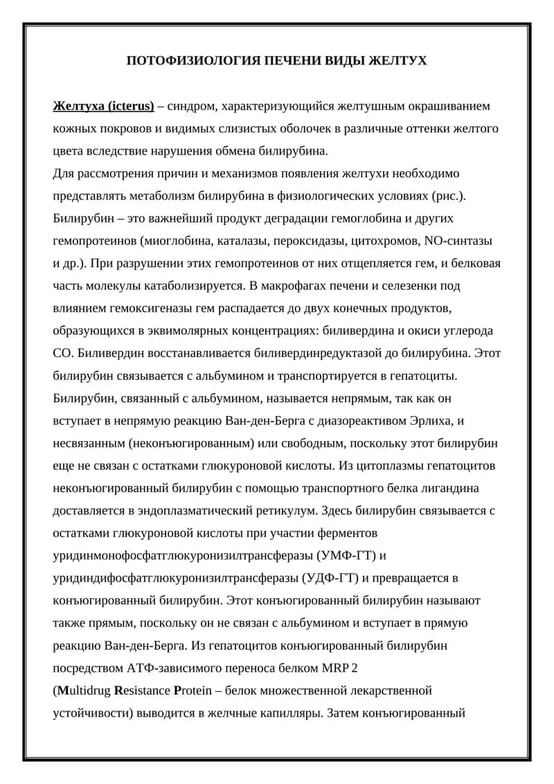 Потофизиология печени. Виды желтух