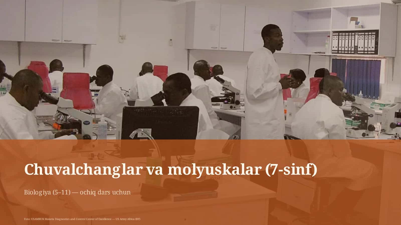 Chuvalchanglar va molyuskalar (7-sinf)