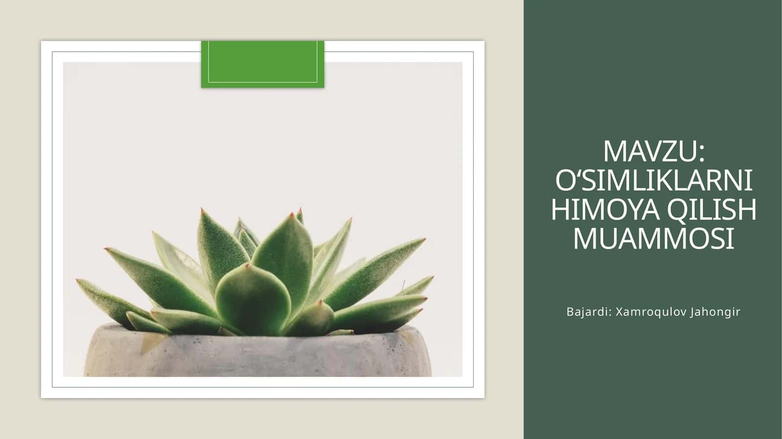 O‘simliklarni himoya qilish muammosi