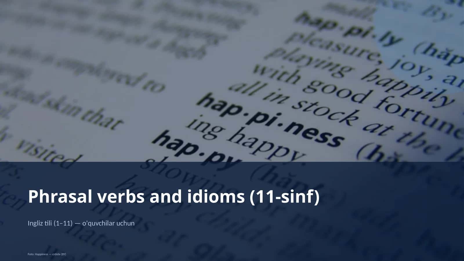 Phrasal verbs and idioms (11-sinf)