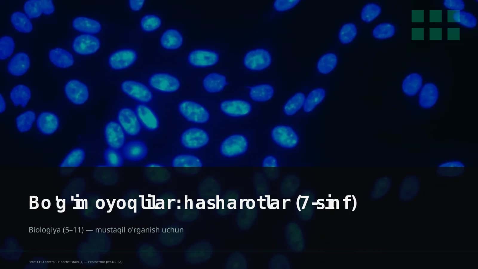 Bo'g'imoyoqlilar: hasharotlar (7-sinf)