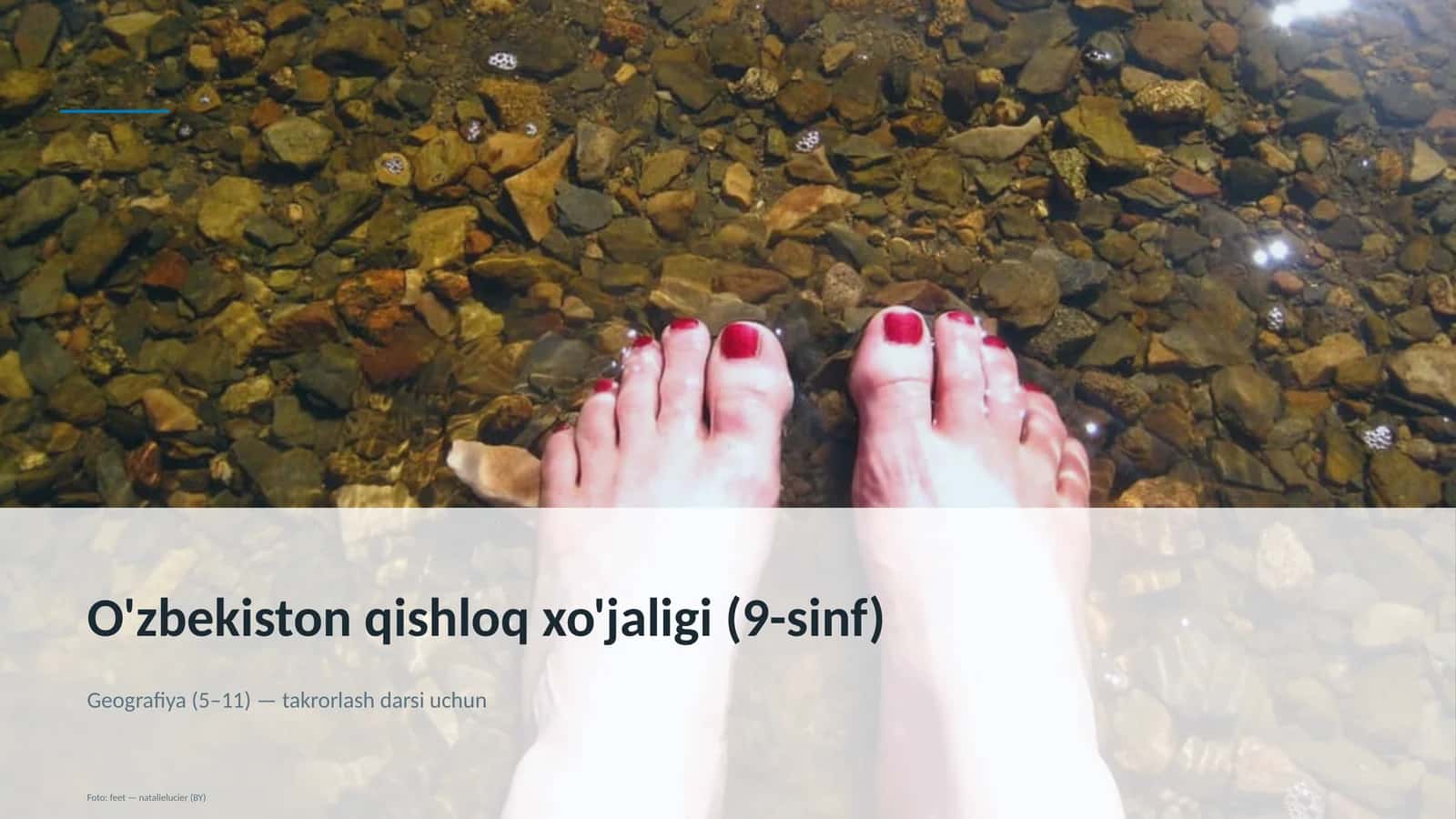 O'zbekiston qishloq xo'jaligi (9-sinf)