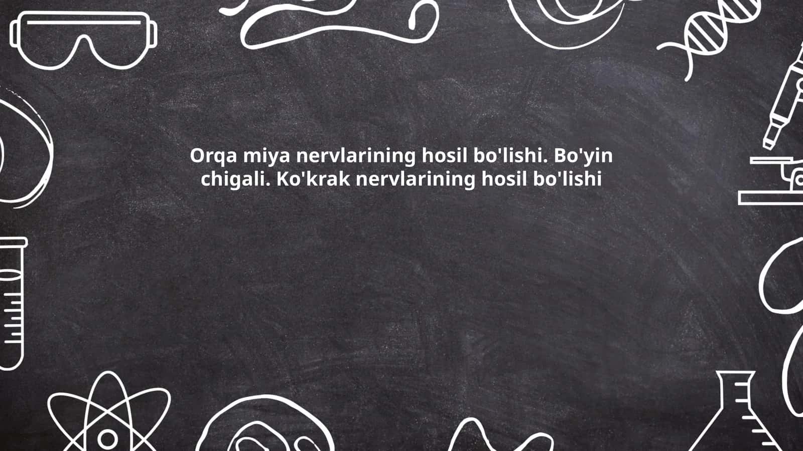 Orqa miya anatomiyasi