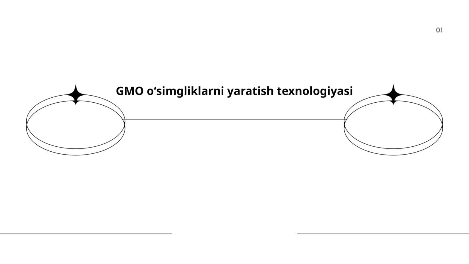 GMO oʻsimgliklarni yaratish texnologiyasi