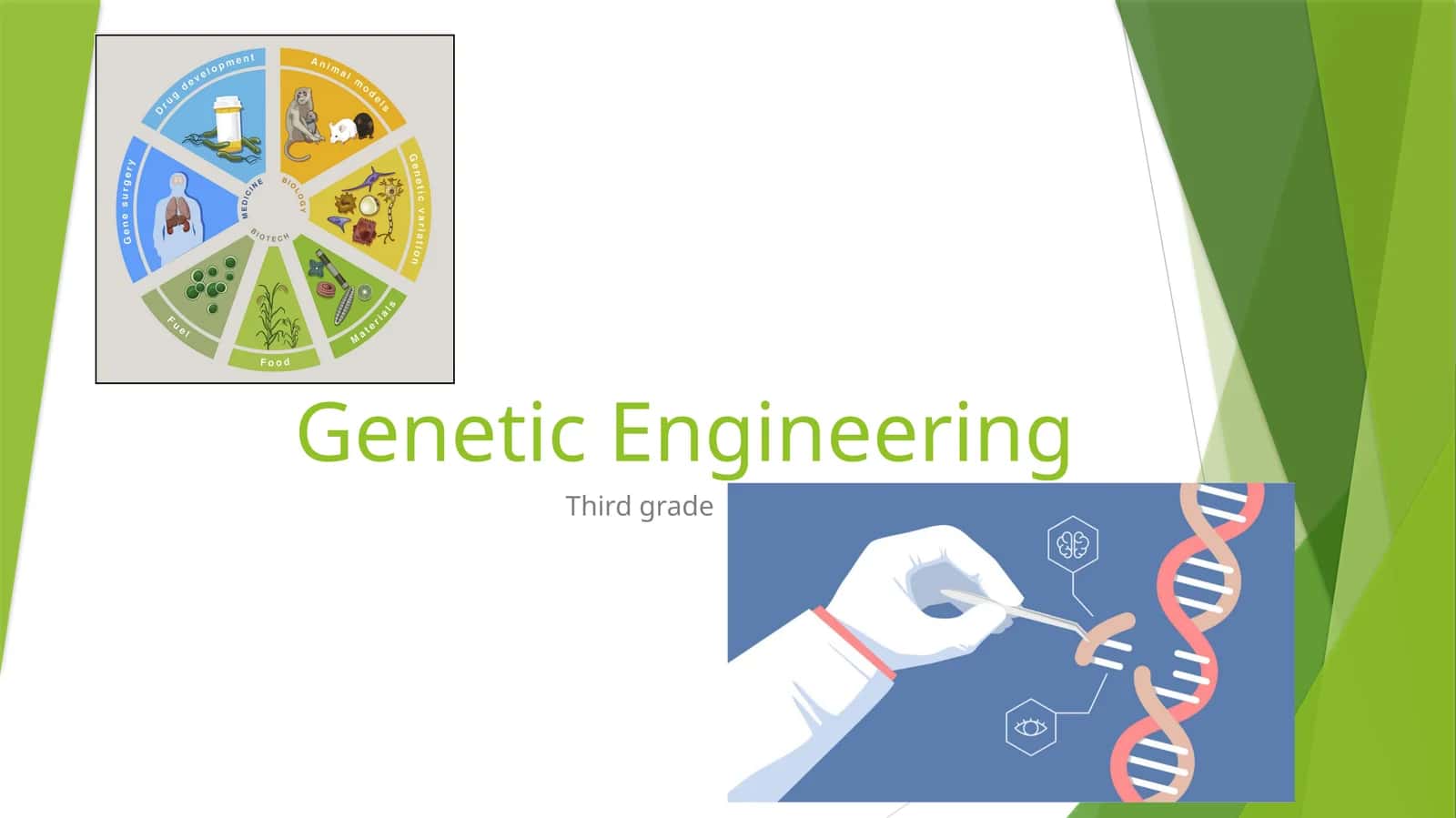Genetic Engineering