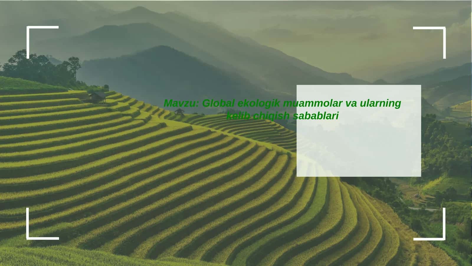 Globalekologikmuammolarvaularningkelibchiqishsabablari