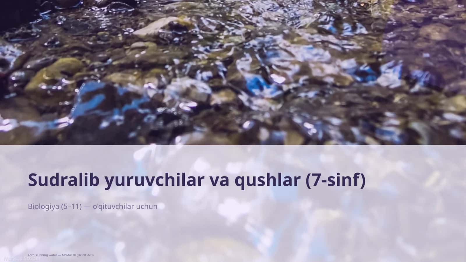 Sudralib yuruvchilar va qushlar (7-sinf)