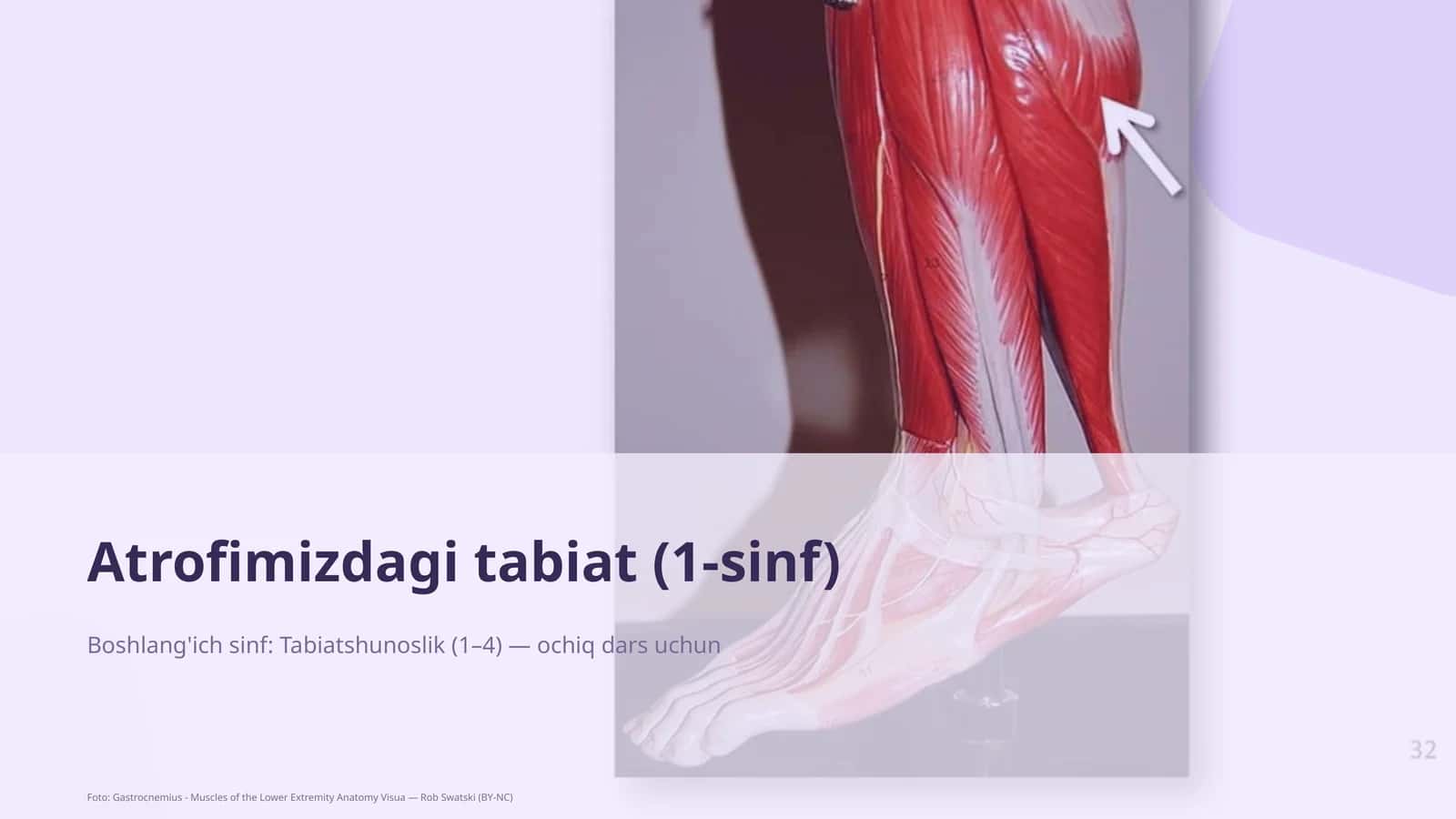 Atrofimizdagi tabiat (1-sinf)