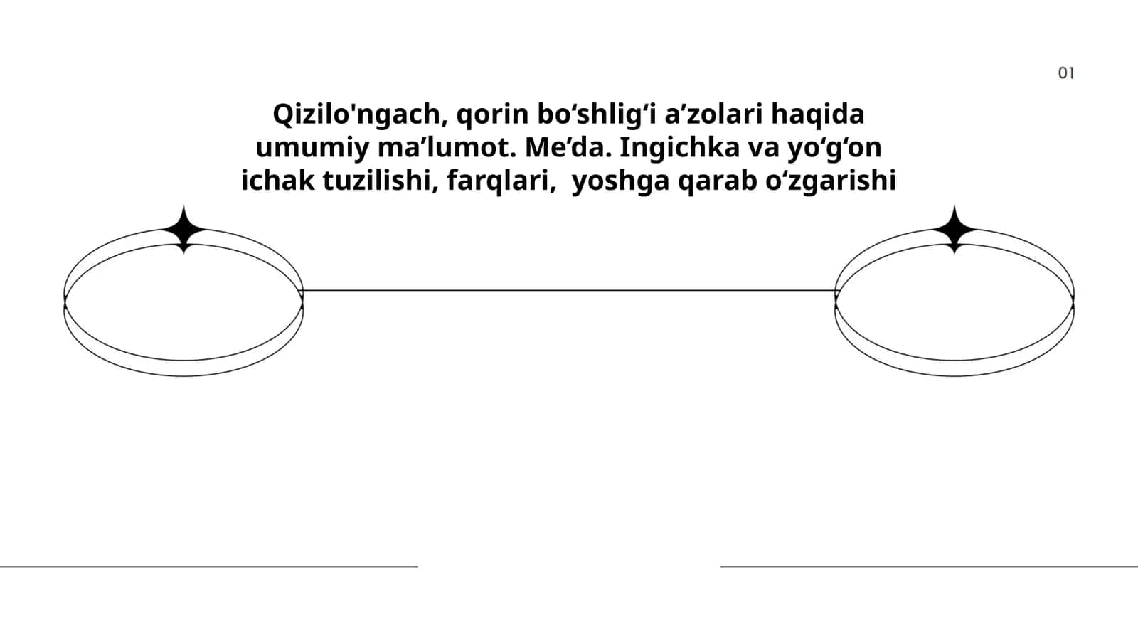 Qizilo'ngach, qorin bo‘shlig‘i a’zolari haqida umumiy ma’lumot. Me’da. Ingichka va yo‘g‘on ichak: tuzilishi, farqlari, yoshga qarab o‘zgarishi