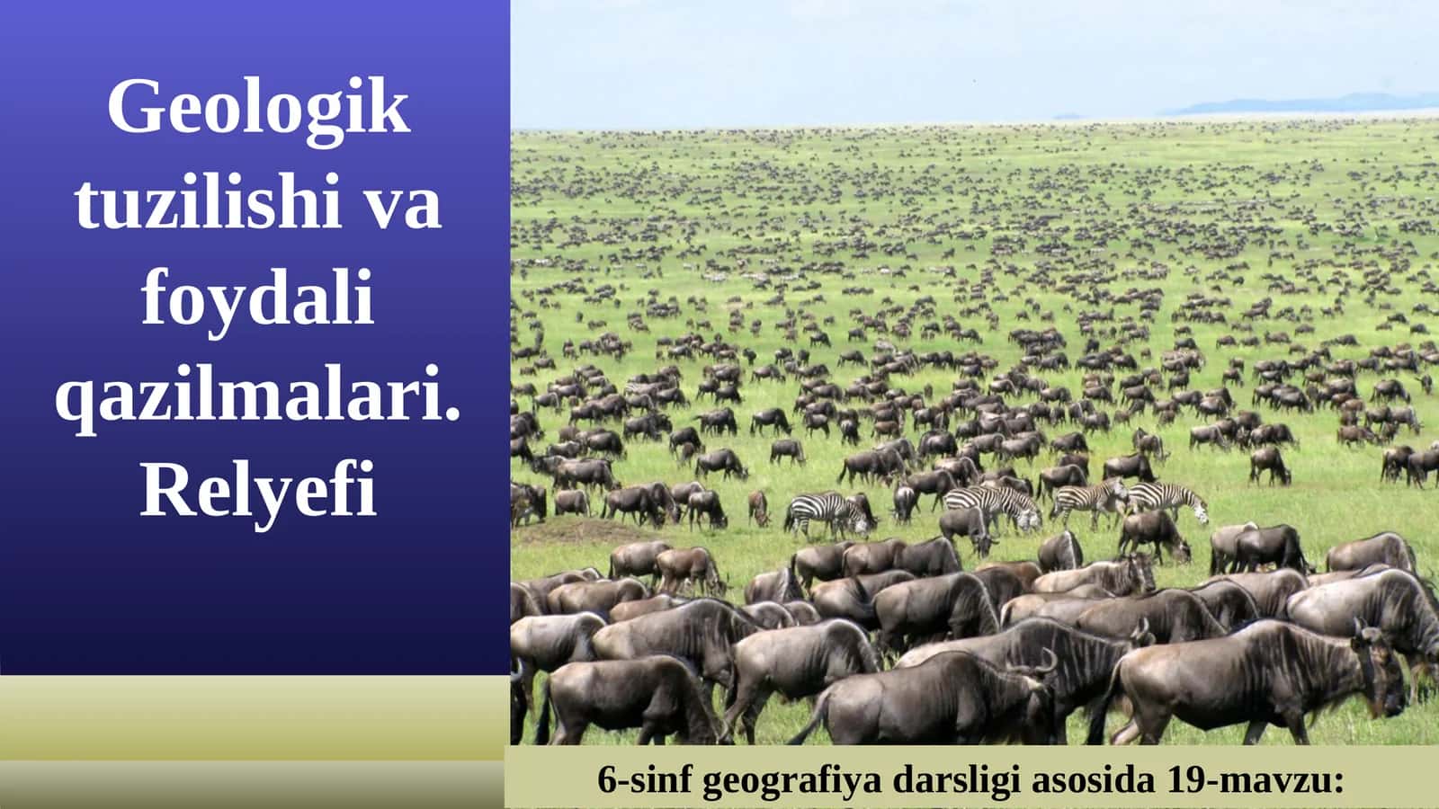 Geologik tuzilishi va foydali qazilmalari. Relyefi