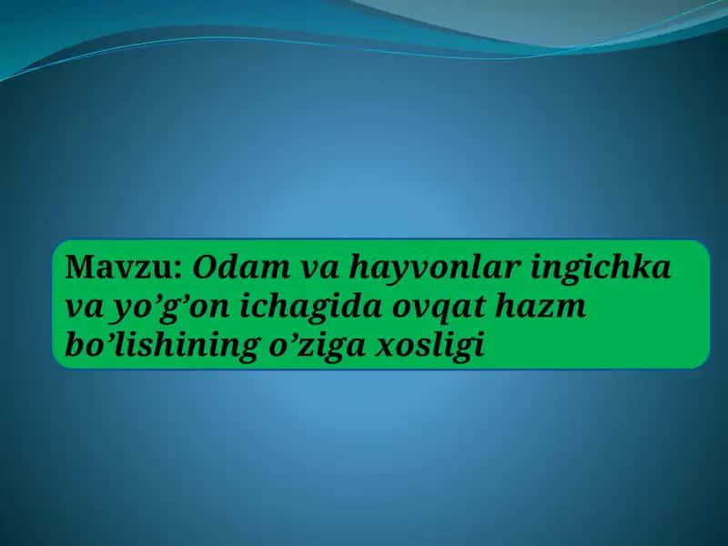 Odam va hayvonlar ingichka  va yo’g’on ichagida ovqat hazm bo’lishining o’ziga xosligi