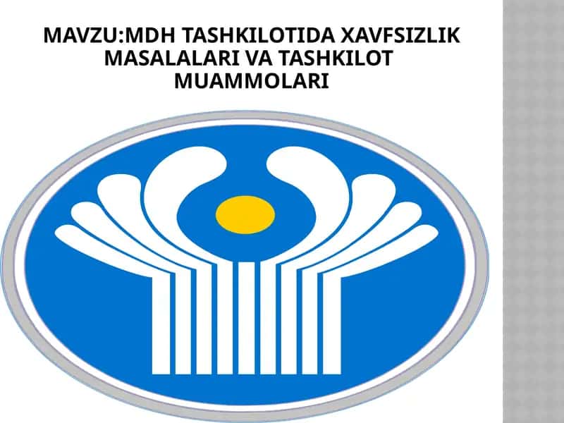 Xavfsizlik masalalari va Tashkilot muammolari