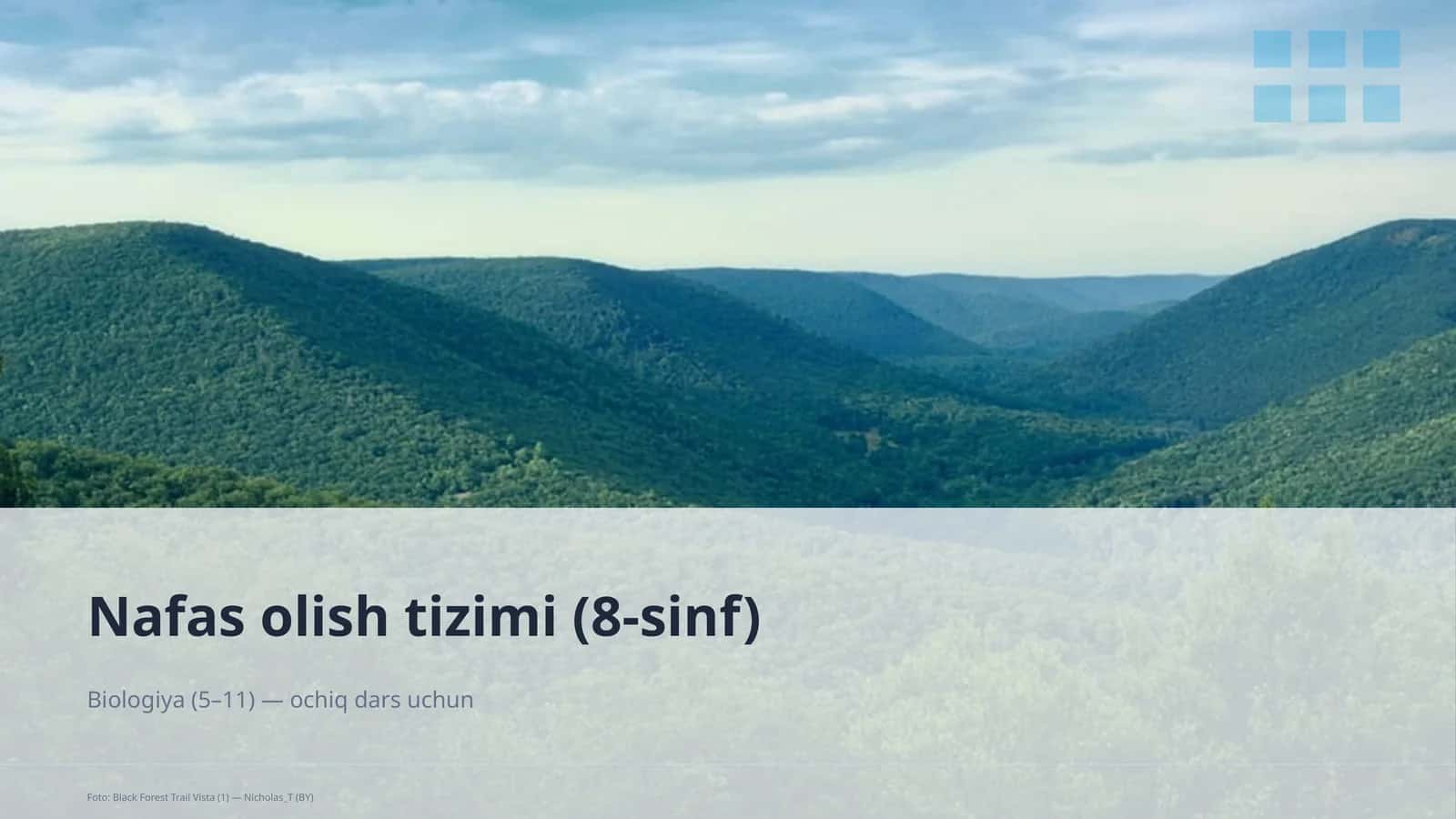 Nafas olish tizimi (8-sinf)