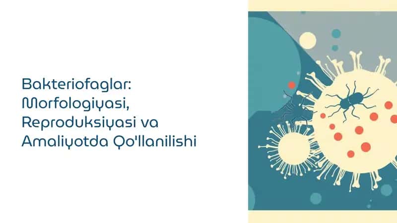 Bakteriofaglar: Morfologiyasi, Reproduksiyasi va Amaliyotda Qo'llanilishi