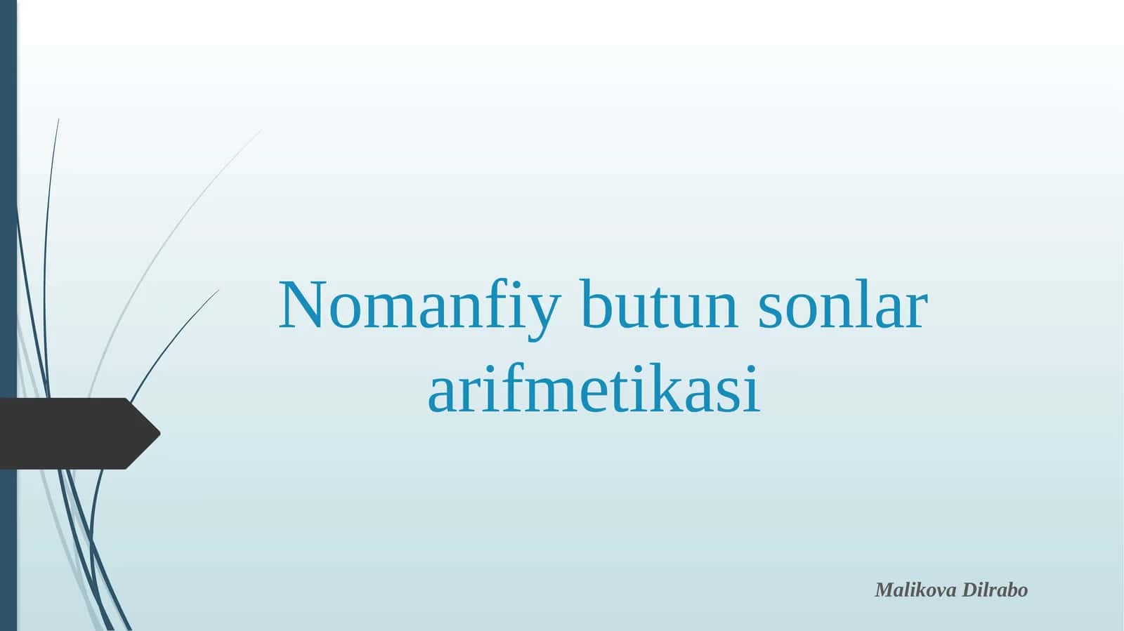 Nomanfiy butun sonlar arifmetikasi
