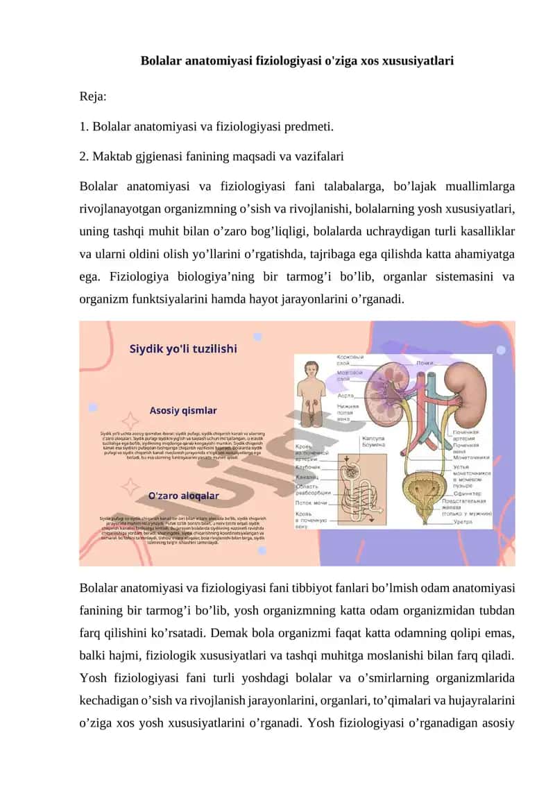 Bolalar anatomiyasi fiziologiyasi o'ziga xos xususiyatlari