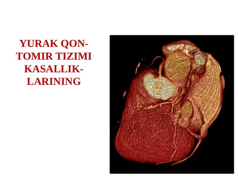 YURAK QON-TOMIR TIZIMI KASALLIKLARI