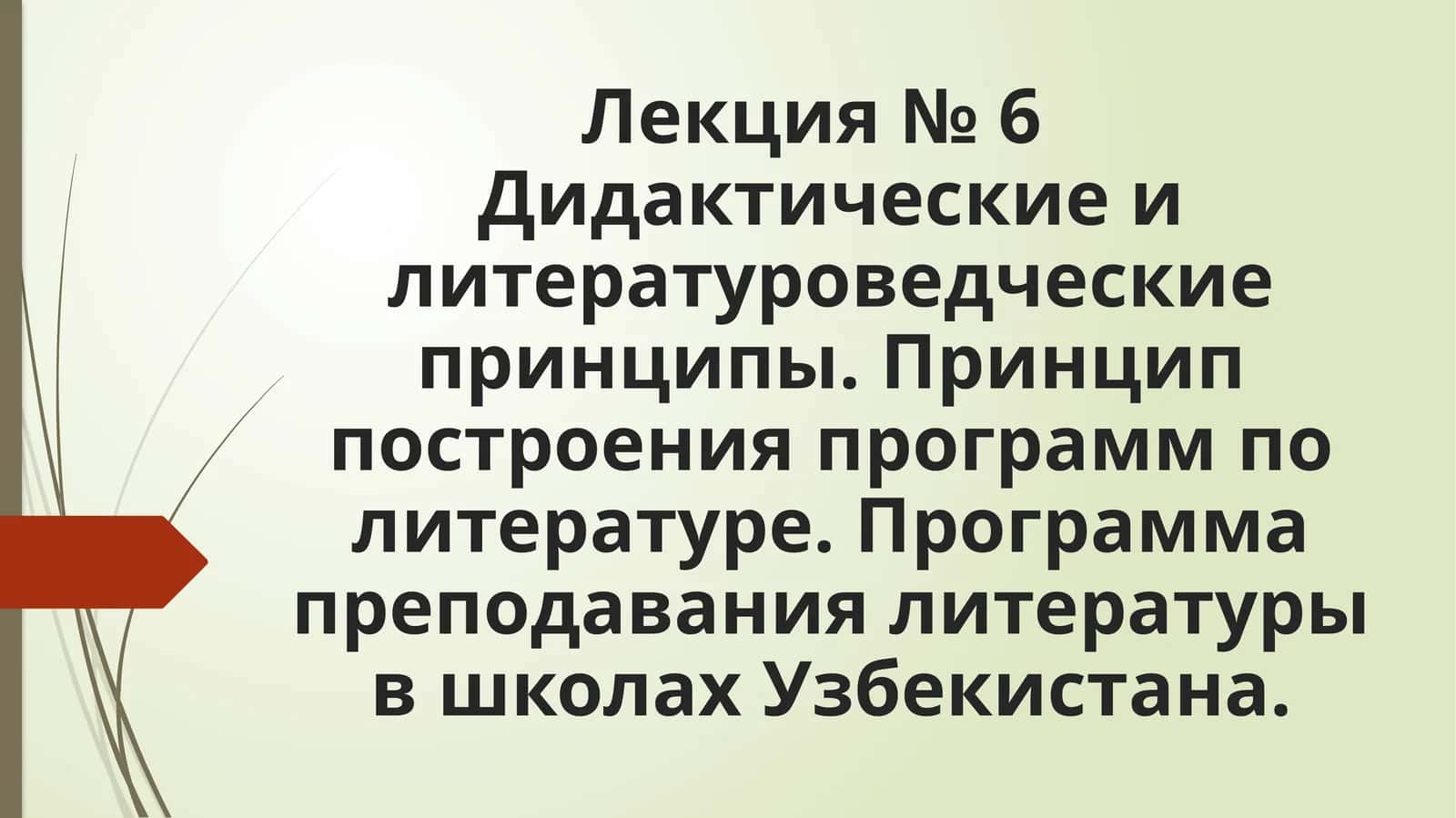 Программа преподавания литературы в школах Узбекистана
