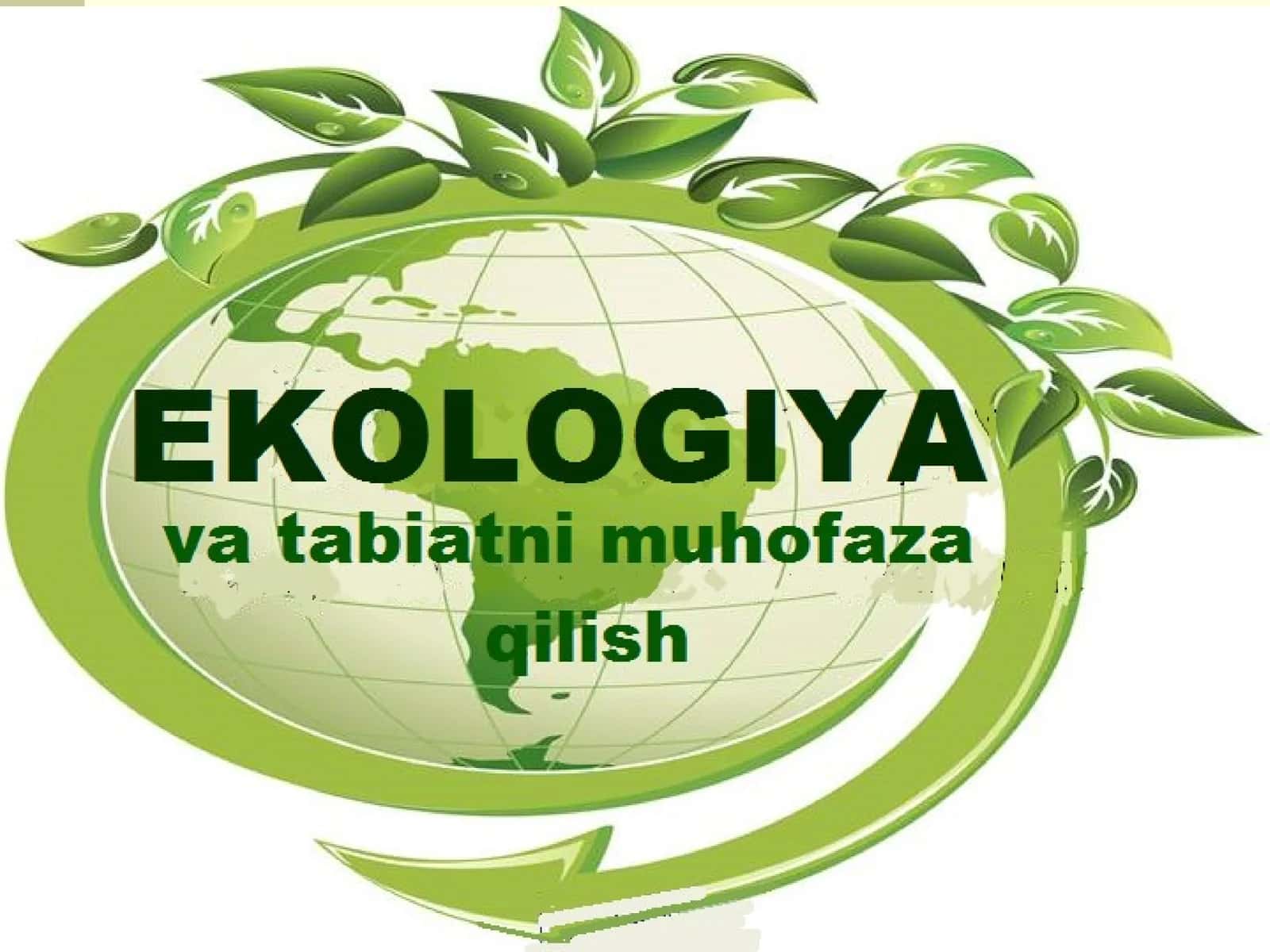 ЛИТОСФЕРА