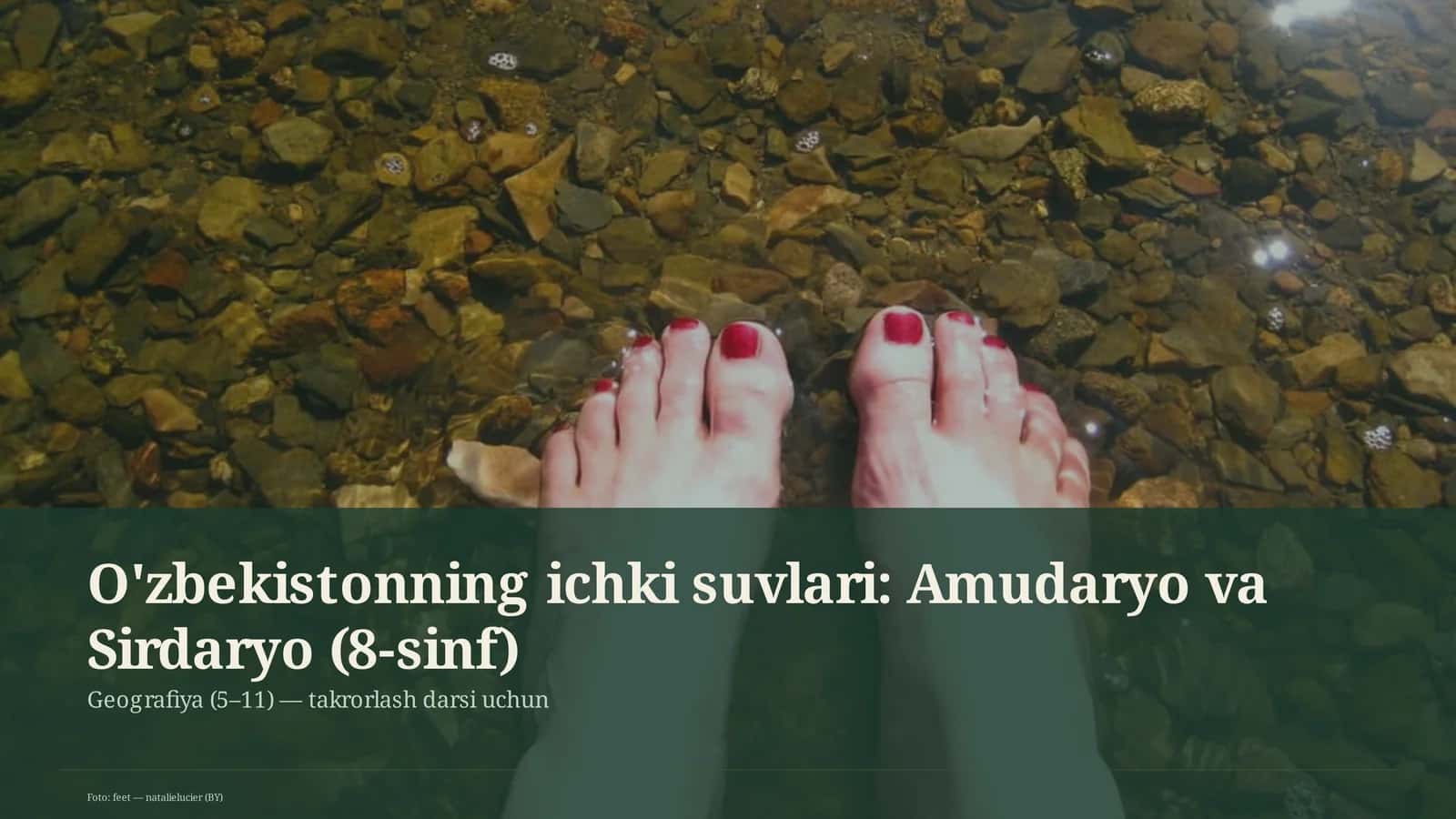 O'zbekistonning ichki suvlari: Amudaryo va Sirdaryo (8-sinf)