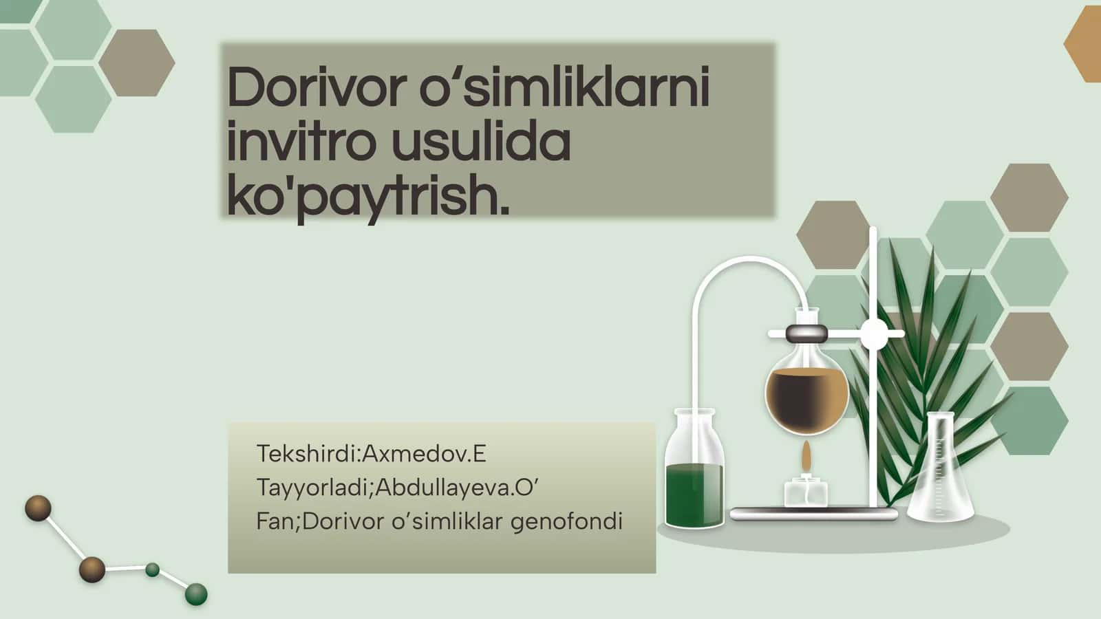 Dorivor o'simliklarni invitro usulida ko'paytirish