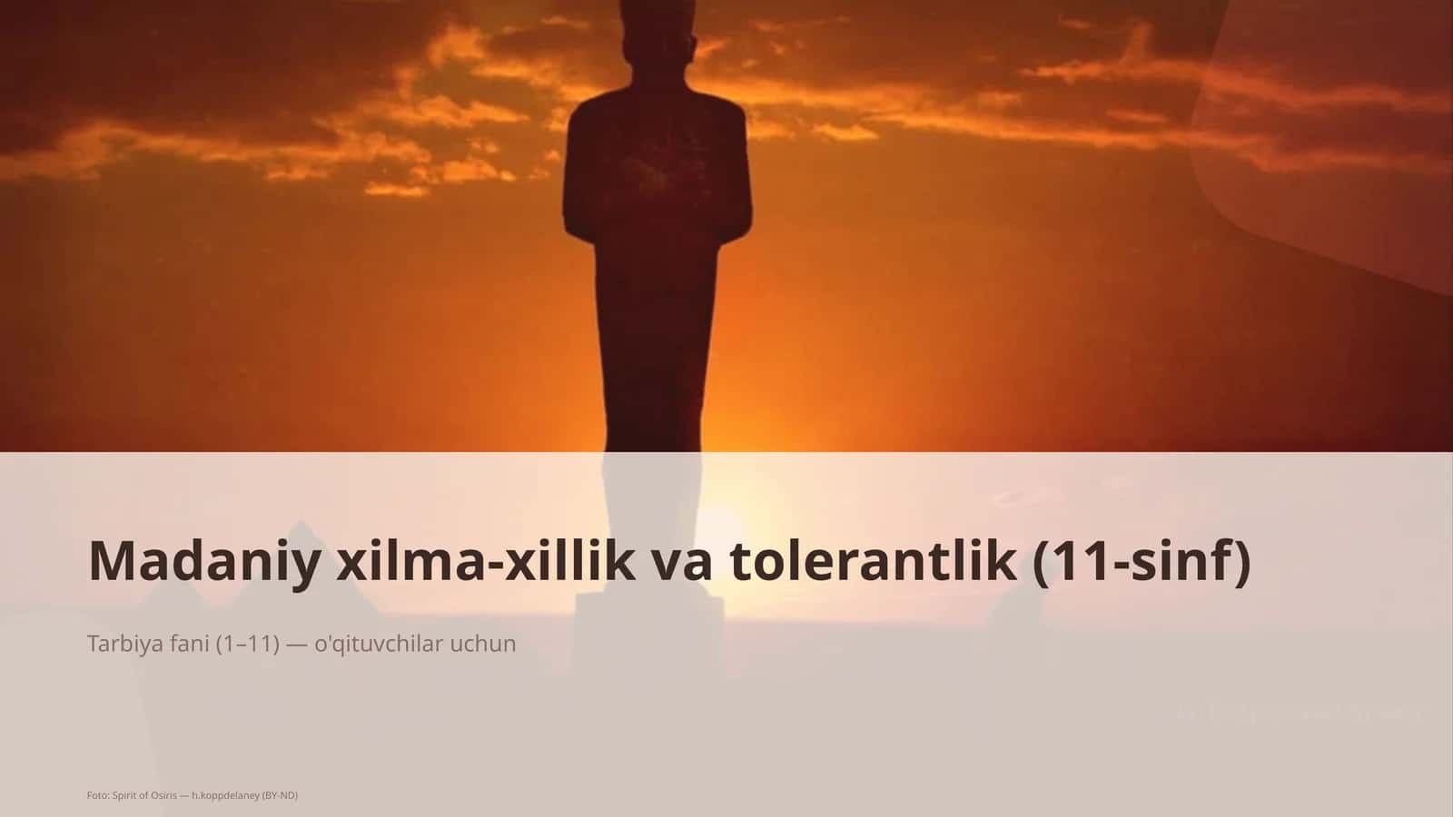 Madaniy xilma-xillik va tolerantlik (11-sinf)