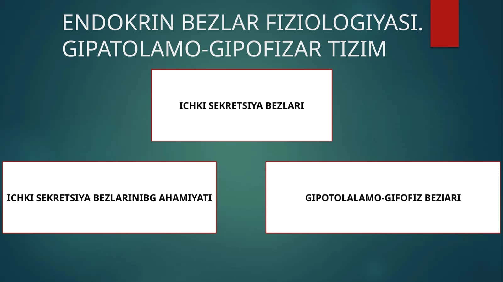 ENDOKRIN BEZLAR FIZIOLOGIYASI.GIPATOLAMO-GIPOFIZAR TIZIM