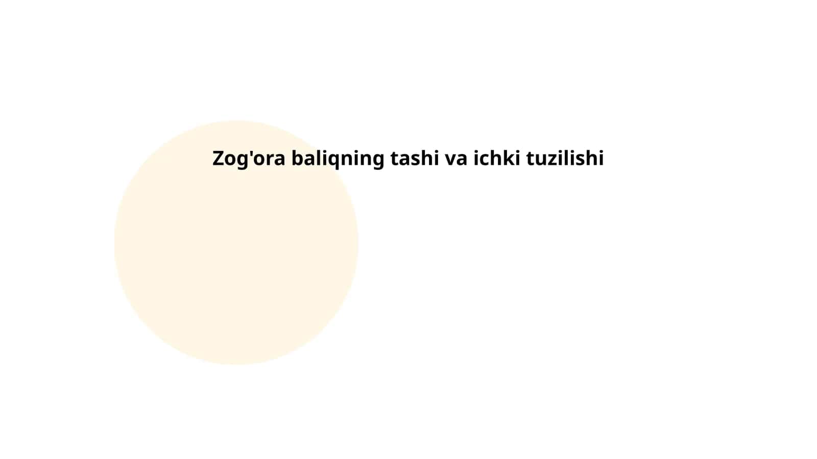 Zog'ora baliqning tashi va ichki tuzilishi