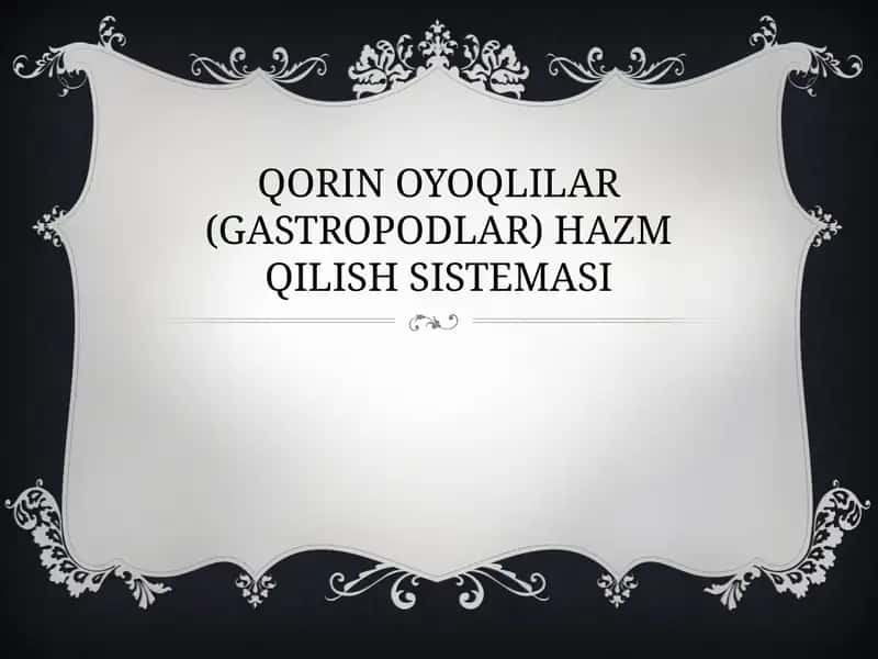 QORIN OYOQLILAR (GASTROPODLAR) HAZM QILISH SISTEMASI