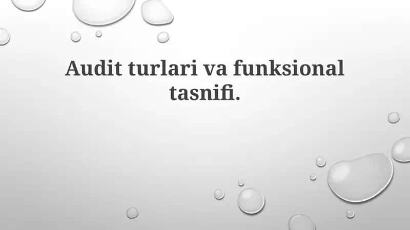 Auditorlik tekshiruvi